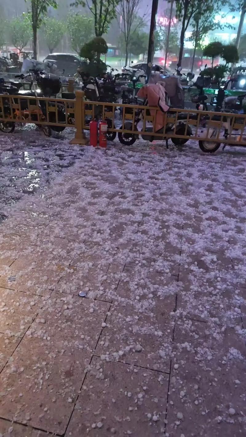 郏县天气准确预报？郏县天气预告？-第4张图片-优品飞百科