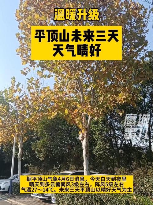 郏县天气准确预报？郏县天气预告？-第7张图片-优品飞百科