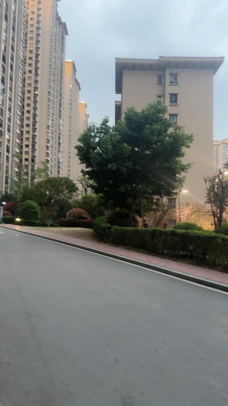 天气预报长沙望城区？天气预报长沙市望城区？-第3张图片-优品飞百科