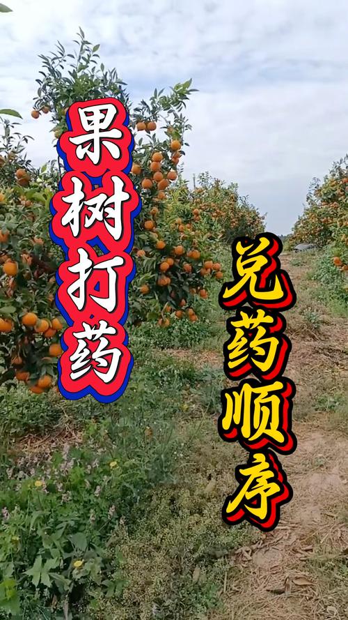 果树打药时间，果树打药时间间隔多久打一次-第2张图片-优品飞百科