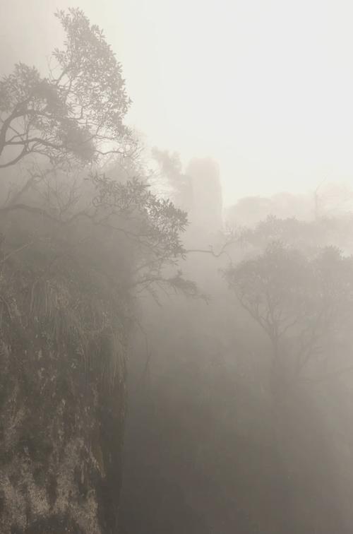 江西省上饶市玉山县天气7天，中国江西省上饶市玉山县天气-第4张图片-优品飞百科