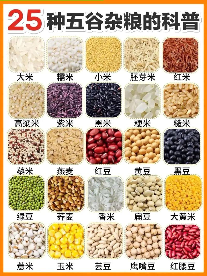 五谷杂粮是哪5种？佛教用的五谷杂粮是哪5种？-第2张图片-优品飞百科