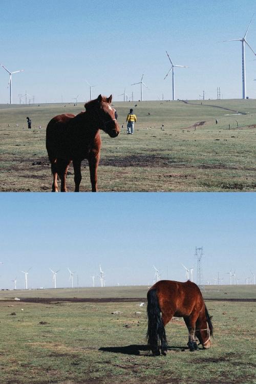 内蒙呼伦贝尔天气预报一周天气，盼盼食品手撕面包图片-第2张图片-优品飞百科
