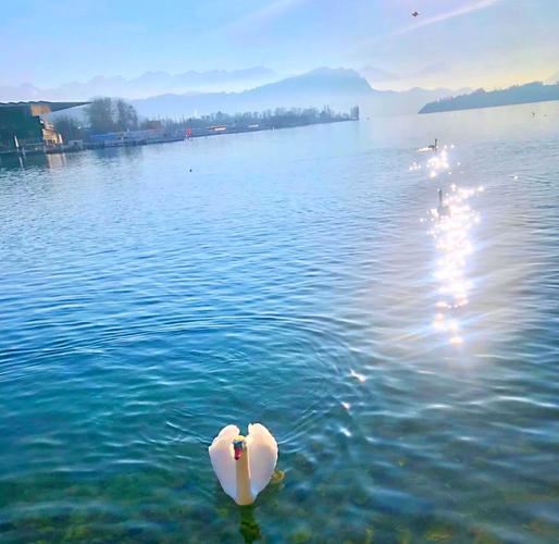 瑞士的天气情况怎么样，瑞士现在的气温？-第1张图片-优品飞百科