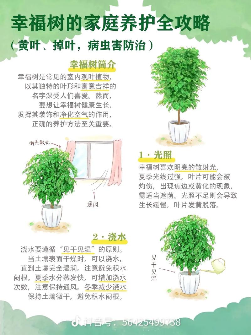 幸福树的病害及其防治，幸福树的常见病