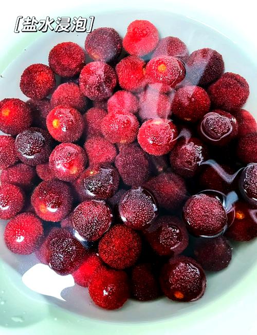 杨梅腌渍的方法，其他吃法有哪些？杨梅怎么腌才好吃？-第1张图片-优品飞百科