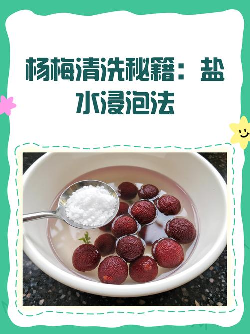 杨梅腌渍的方法，其他吃法有哪些？杨梅怎么腌才好吃？-第2张图片-优品飞百科