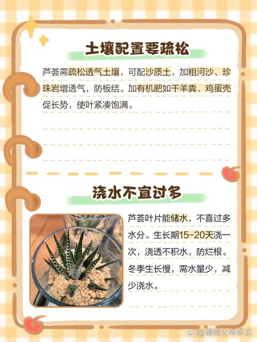 芦荟的养殖方法,芦荟图片,芦荟的养殖方法 盆栽有哪些特点?-第7张图片-优品飞百科 芦荟的养殖方法,芦荟图片,芦荟的养殖方法 盆栽有哪些特点?-第7张图片-优品飞百科