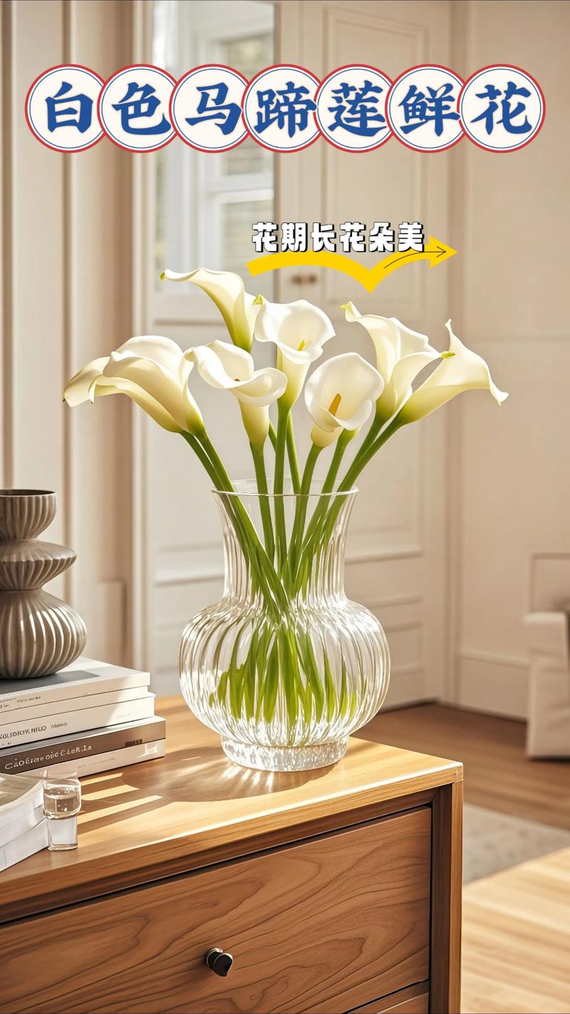 马蹄莲好养吗，马蹄莲不进宅的原因？-第3张图片-优品飞百科