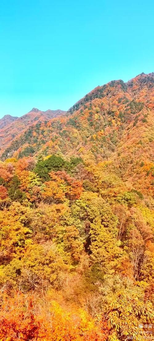 巴中一周天气预报查询？巴中天气预报15天查询结果？-第6张图片-优品飞百科