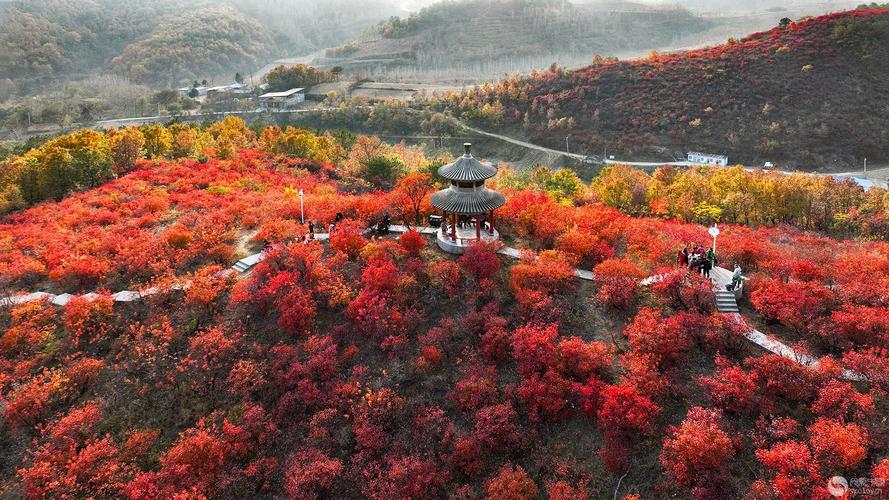 桐柏天气预报30天查询，桐柏天气预报15天30天？-第2张图片-优品飞百科