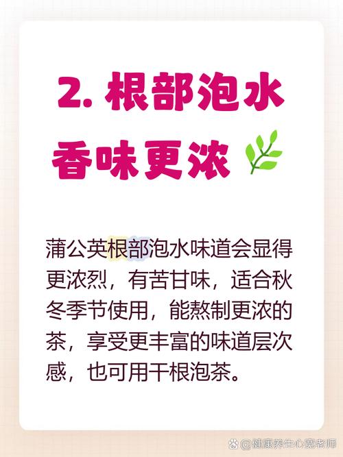 蒲公英叶子怎么吃，可以泡水吗，蒲公英的叶子泡水喝有什么功效-第5张图片-优品飞百科