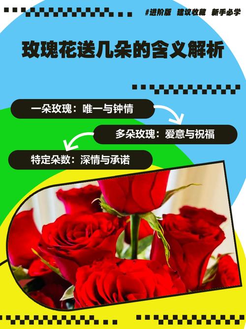 19朵玫瑰代表什么意思（常见玫瑰朵数的含义大全）？19朵玫瑰代表什么?？-第3张图片-优品飞百科