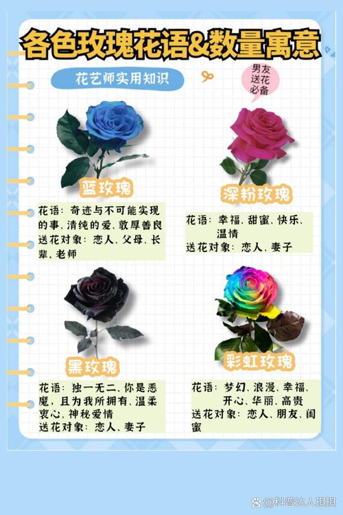 圣诞节送女孩子多少朵花比较好,圣诞节送女孩子多少朵花比较好呢?-第5张图片-优品飞百科 圣诞节送女孩子多少朵花比较好,圣诞节送女孩子多少朵花比较好呢?-第5张图片-优品飞百科