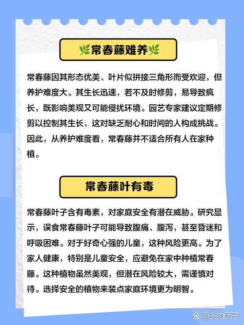 常春藤什么时候开花?常春藤什么时候发芽?-第3张图片-优品飞百科 常春藤什么时候开花?常春藤什么时候发芽?-第3张图片-优品飞百科