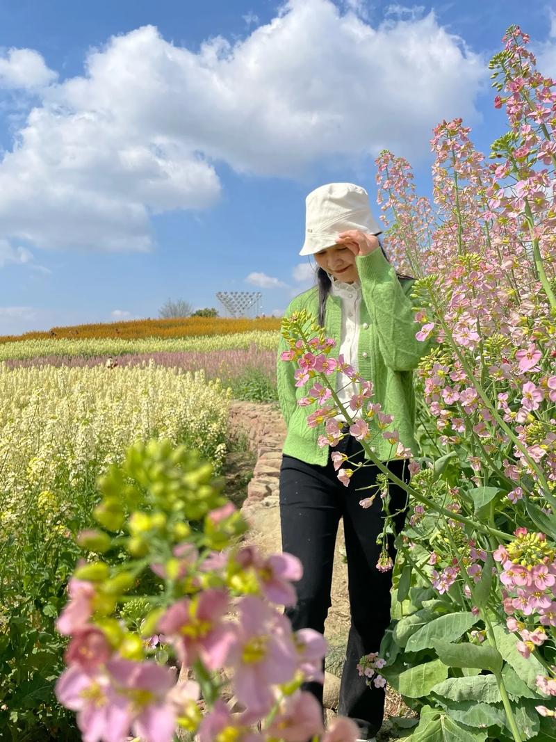 油菜的养殖方法和注意事项,油菜的种植方法和注意事项?-第5张图片-优品飞百科 油菜的养殖方法和注意事项,油菜的种植方法和注意事项?-第5张图片-优品飞百科