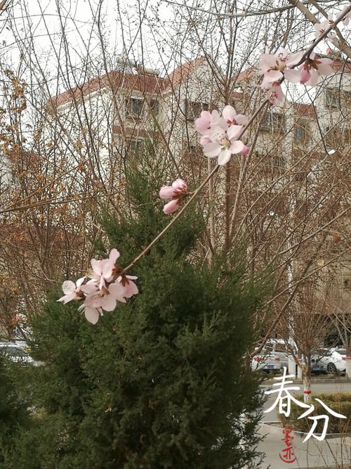 哈密天气预报查询，哈密天气预报查询40天-第6张图片-优品飞百科