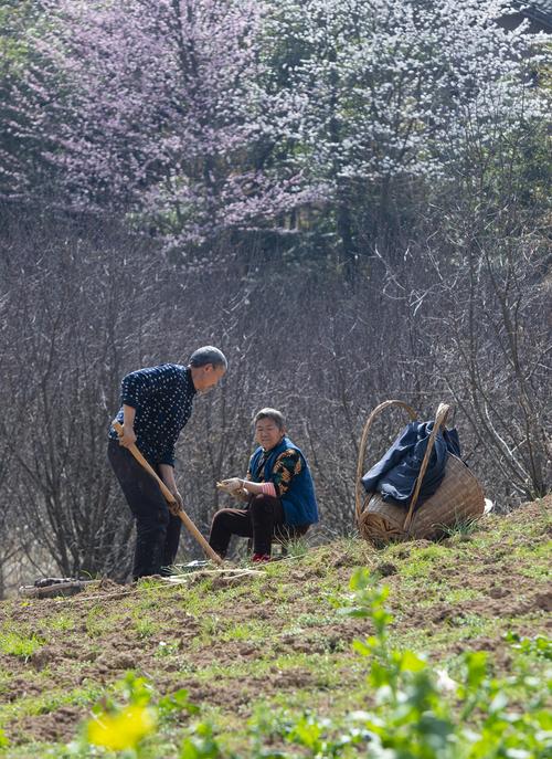 万州天气预报一周7天1，万州天气预报一周7天实重庆-第4张图片-优品飞百科