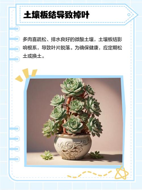 多肉叶子发黄怎么办，多肉叶子发黄怎么办小妙招-第7张图片-优品飞百科