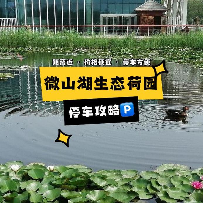 微山县最新天气预报今天，微山县天气预报详情-第4张图片-优品飞百科