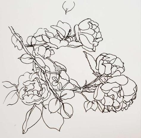 峨眉蔷薇的繁殖方式，峨眉蔷薇果的功效与作用？