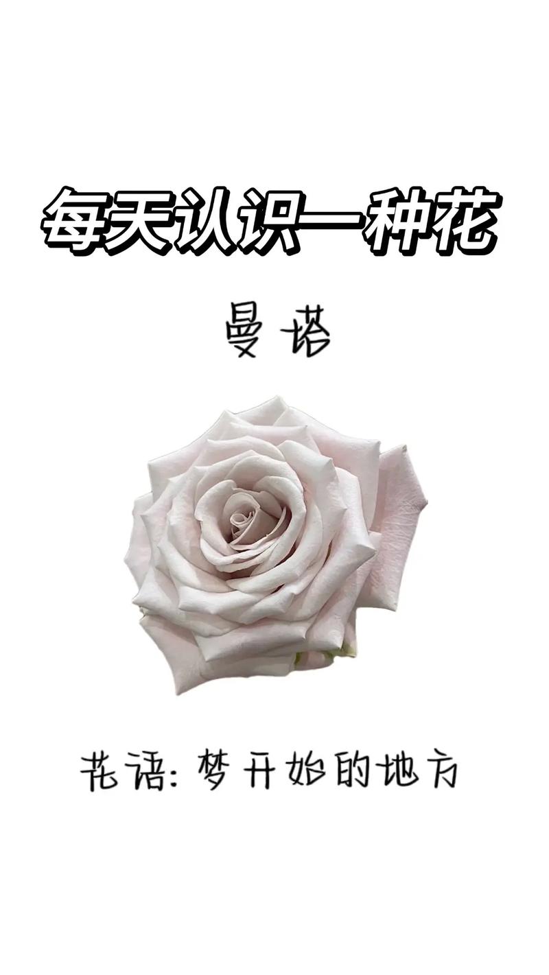 茜之塔和方塔的区别，茜之塔寓意？-第6张图片-优品飞百科