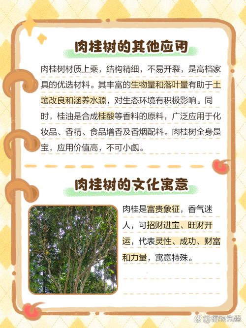 日香桂怎么修剪,日香桂剪枝-第3张图片-优品飞百科 日香桂怎么修剪,日香桂剪枝-第3张图片-优品飞百科