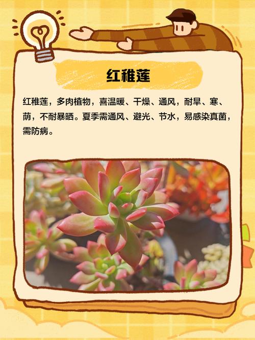多肉的五种驱虫方法？多肉驱虫用什么药？-第6张图片-优品飞百科