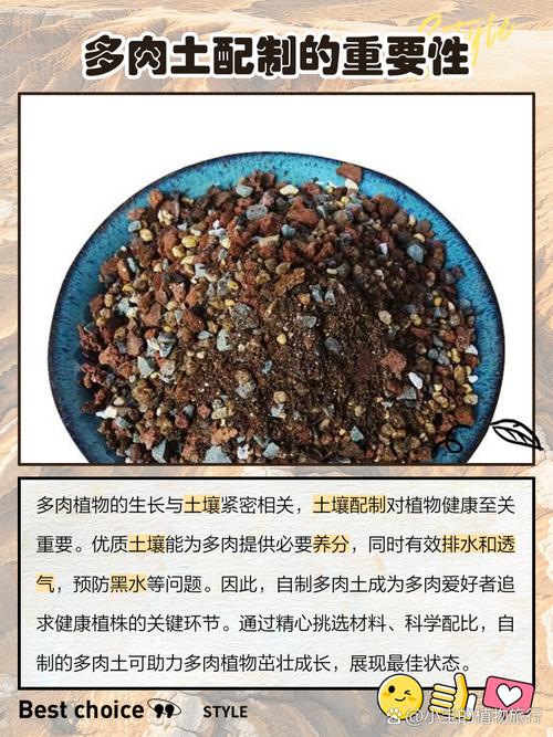 多肉的五种驱虫方法？多肉驱虫用什么药？-第8张图片-优品飞百科
