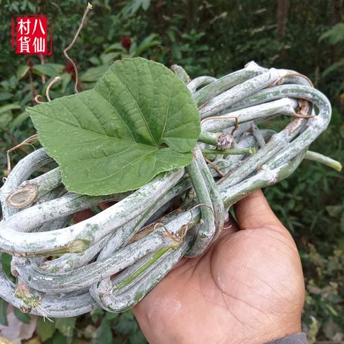 粉藤的功效和作用?粉藤的功效和作用及食用方法?-第3张图片-优品飞百科 粉藤的功效和作用?粉藤的功效和作用及食用方法?-第3张图片-优品飞百科