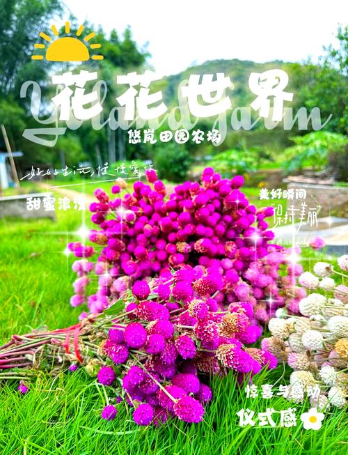 千日红病虫害及防治方法？千日红有毒吗?？-第4张图片-优品飞百科