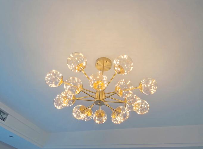 满天星喜欢阳光吗，满天星喜欢阳光吗为什么？-第2张图片-优品飞百科