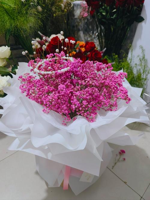 满天星喜欢阳光吗，满天星喜欢阳光吗为什么？-第3张图片-优品飞百科