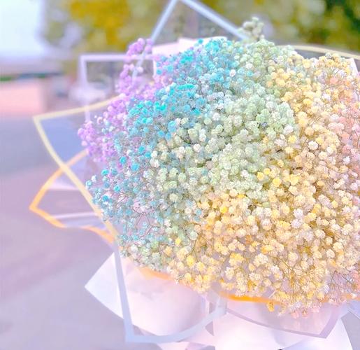 满天星喜欢阳光吗，满天星喜欢阳光吗为什么？-第5张图片-优品飞百科