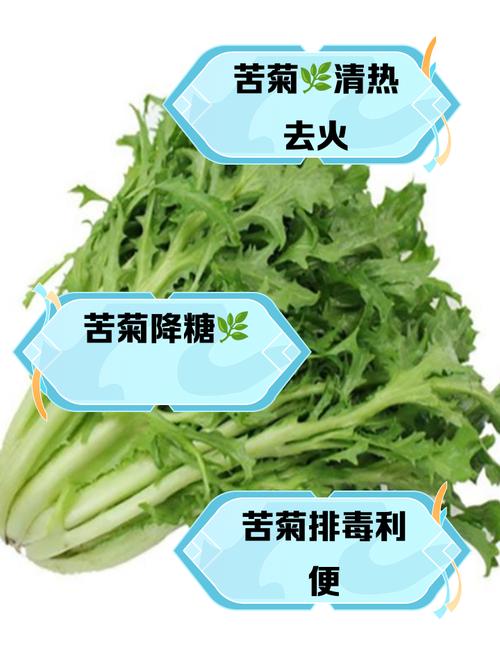 苦菊和蒲公英的区别，苦菊与蒲公英的区别？-第4张图片-优品飞百科