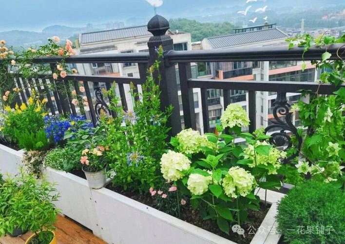 5种适合屋顶绿化的植物，屋顶绿化植物配置的要点有什么?-第1张图片-优品飞百科