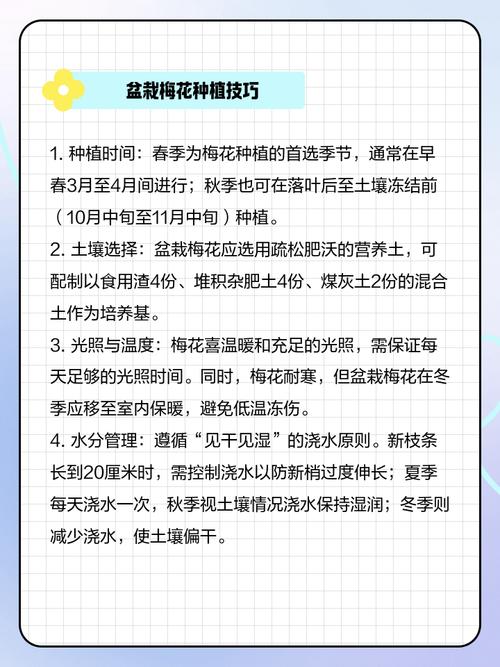 梅花的春天养殖方法？梅花春夏季怎么养护？-第6张图片-优品飞百科