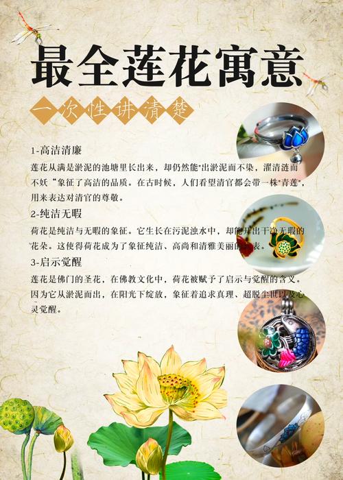 有条件就养盆荷花吧，能赏花，能吃果，能喝茶，全身是宝贝！，荷花可以盆栽的品种？