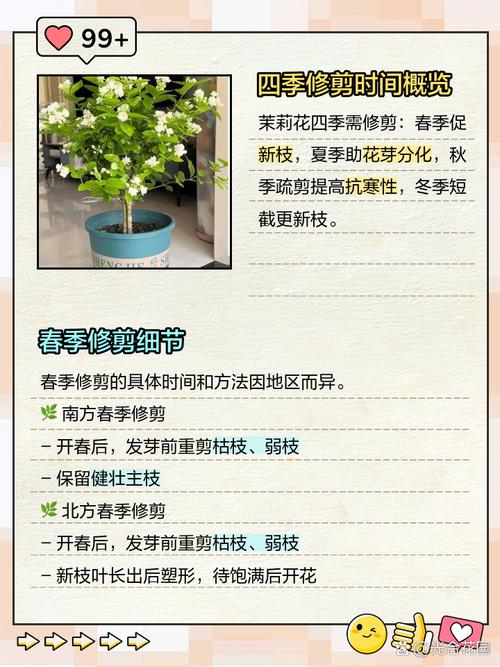 茉莉怎么繁殖，茉莉怎么繁殖后代-第2张图片-优品飞百科