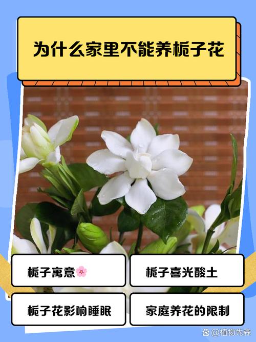 栀子花有毒吗，栀子花有毒吗可以吃吗