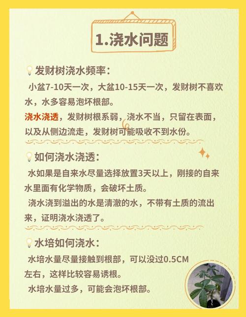 发财树的养殖方法和注意事项,鸭掌发财树的养殖方法和注意事项?-第3张图片-优品飞百科 发财树的养殖方法和注意事项,鸭掌发财树的养殖方法和注意事项?-第3张图片-优品飞百科