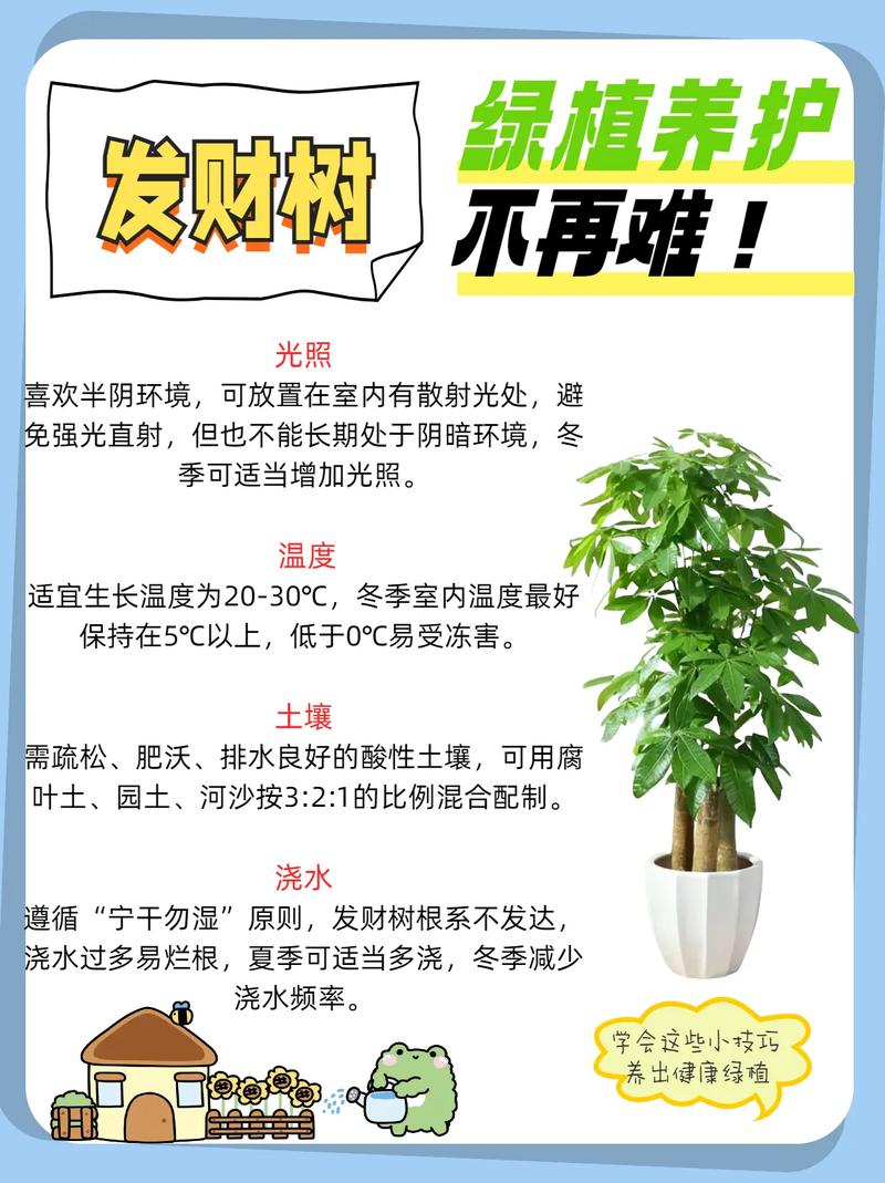 发财树的养殖方法和注意事项,鸭掌发财树的养殖方法和注意事项?-第5张图片-优品飞百科 发财树的养殖方法和注意事项,鸭掌发财树的养殖方法和注意事项?-第5张图片-优品飞百科