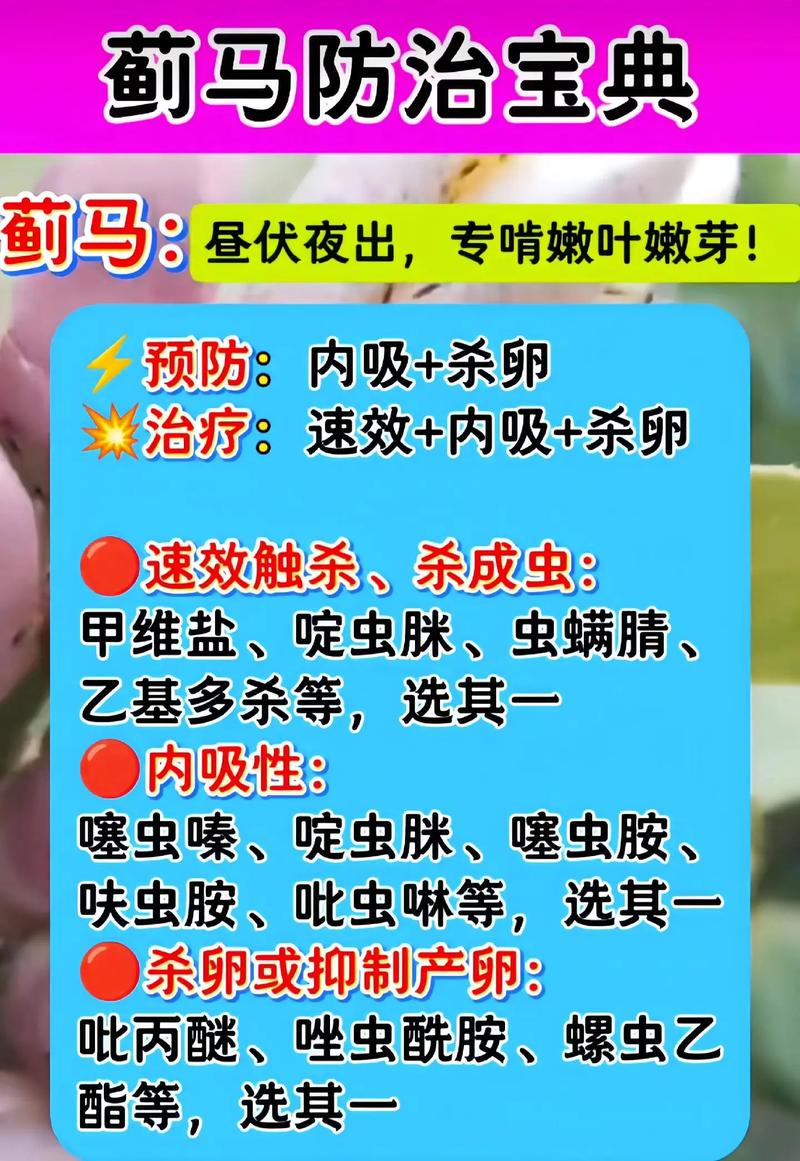 蓟马是什么，对人体有害吗，蓟马是什么?？-第5张图片-优品飞百科