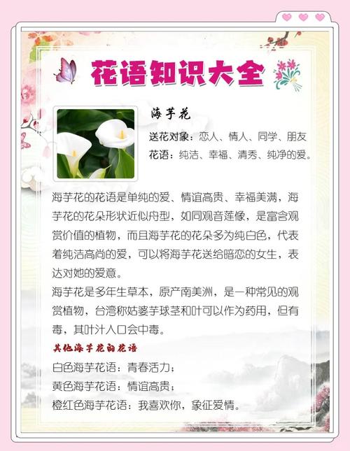 海芋花花语,海芋花的传说-第4张图片-优品飞百科 海芋花花语,海芋花的传说-第4张图片-优品飞百科