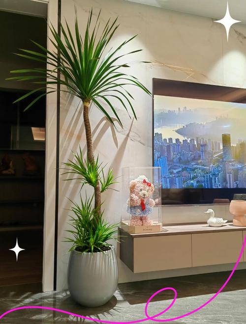 室内盆花如何摆放，室内盆栽怎么摆放？