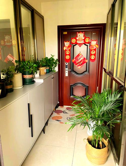 室内盆花如何摆放，室内盆栽怎么摆放？-第5张图片-优品飞百科