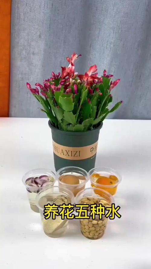 给花浇点废水,ro废水浇花-第3张图片-优品飞百科 给花浇点废水,ro废水浇花-第3张图片-优品飞百科
