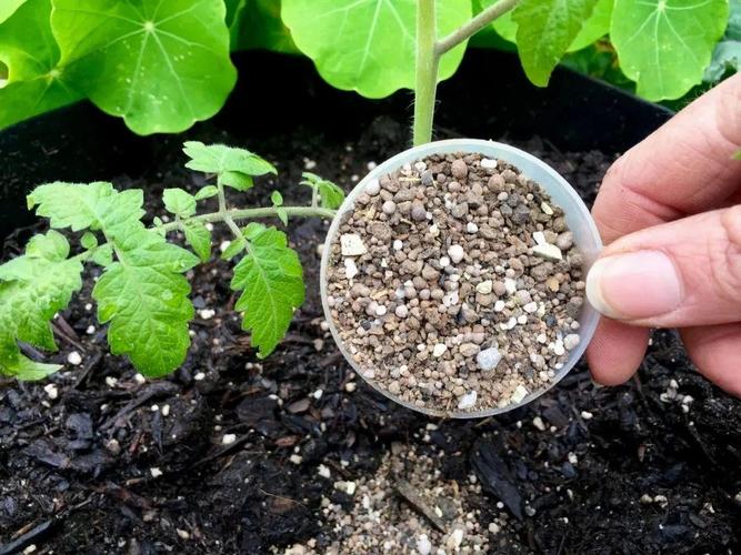 给花浇点废水,ro废水浇花-第4张图片-优品飞百科 给花浇点废水,ro废水浇花-第4张图片-优品飞百科