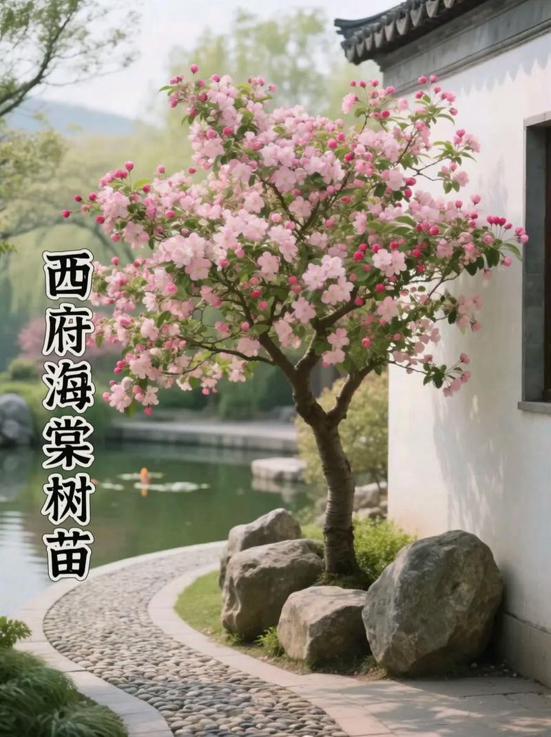 西府海棠的养殖方法和注意事项，西府海棠种植方法和注意事项？-第2张图片-优品飞百科