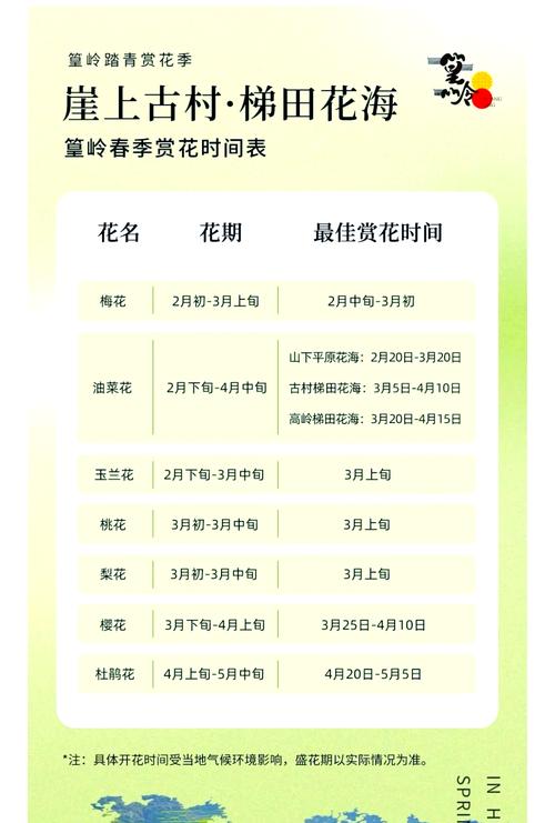 油菜花冬季开花吗，油菜花冬天-第5张图片-优品飞百科